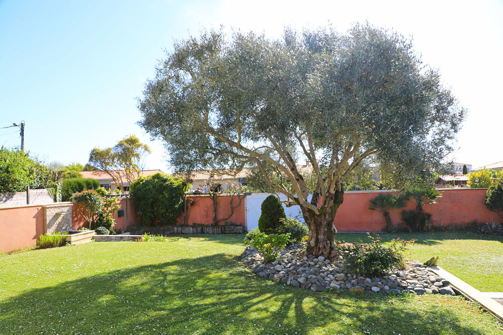 � vendre  Maison Meschers-sur-Gironde (17132)