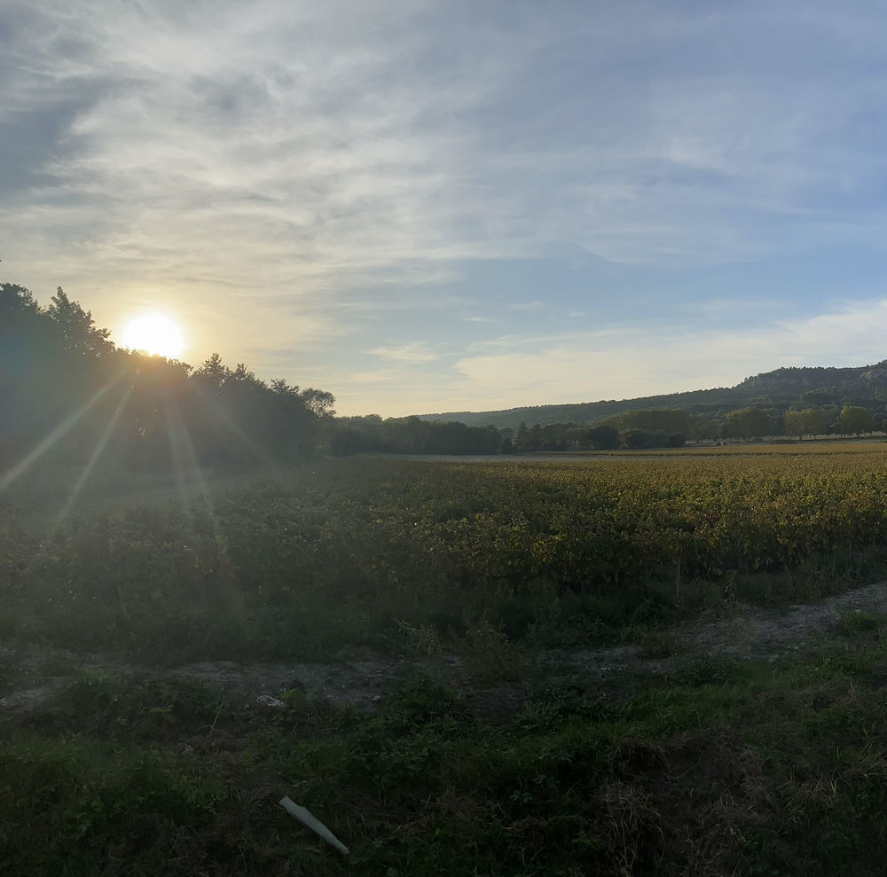 � vendre  Propri�t�/ch�teau Boll�ne (84500)