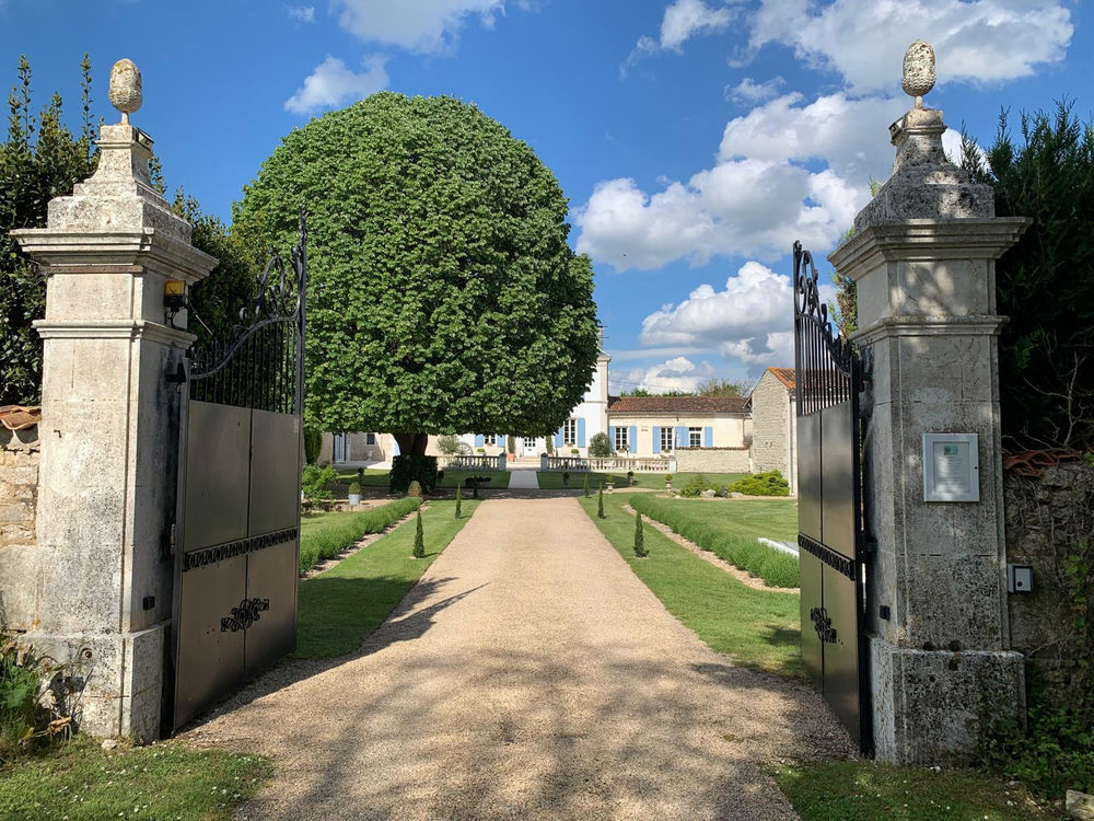 � vendre  Propri�t�/ch�teau Saint-Jean-d'Ang�ly (17400)