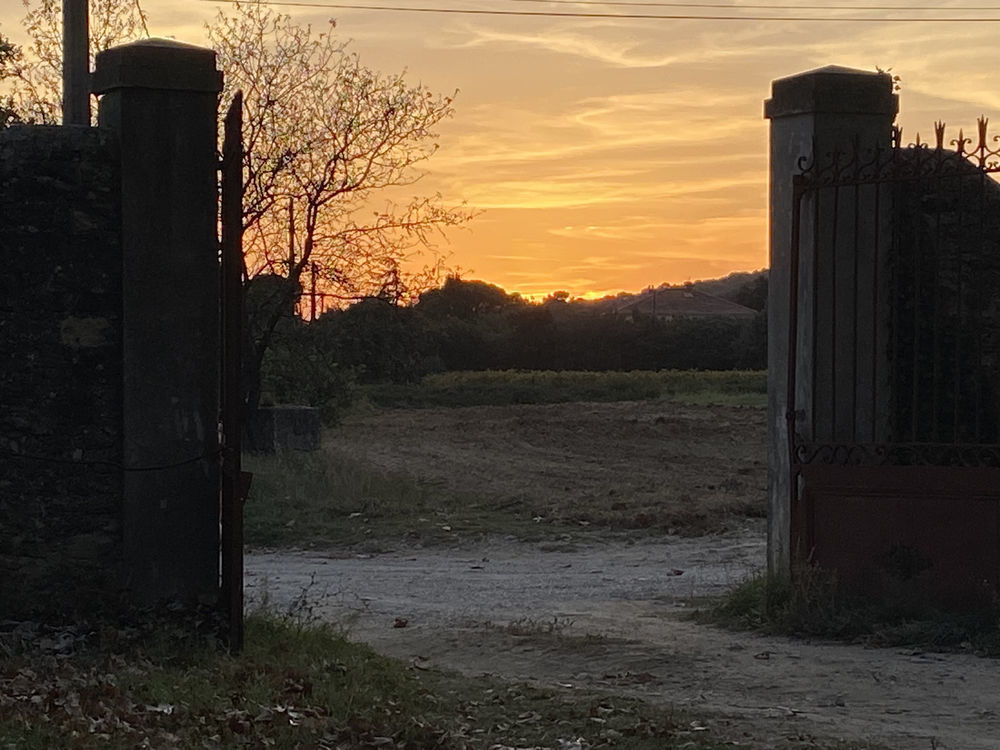 � vendre  Propri�t�/ch�teau Boll�ne (84500)