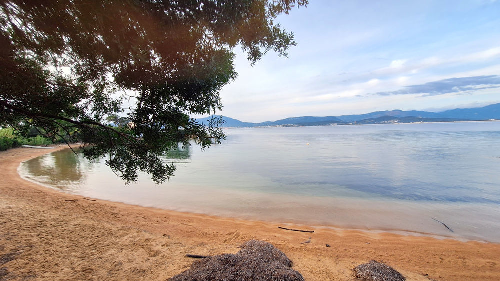 � vendre  Propri�t�/ch�teau Porticcio (20166)