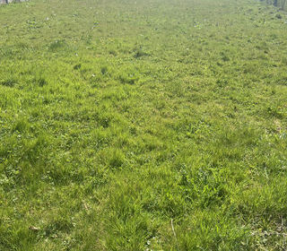  Terrain � vendre 1240 m�