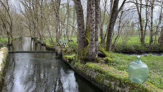  Propri�t�/ch�teau � vendre 10 pi�ces 280 m�