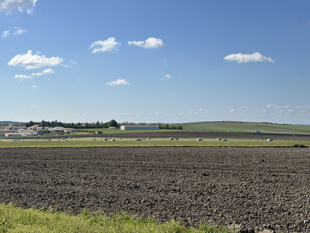 � vendre  Maison Arces (17120)