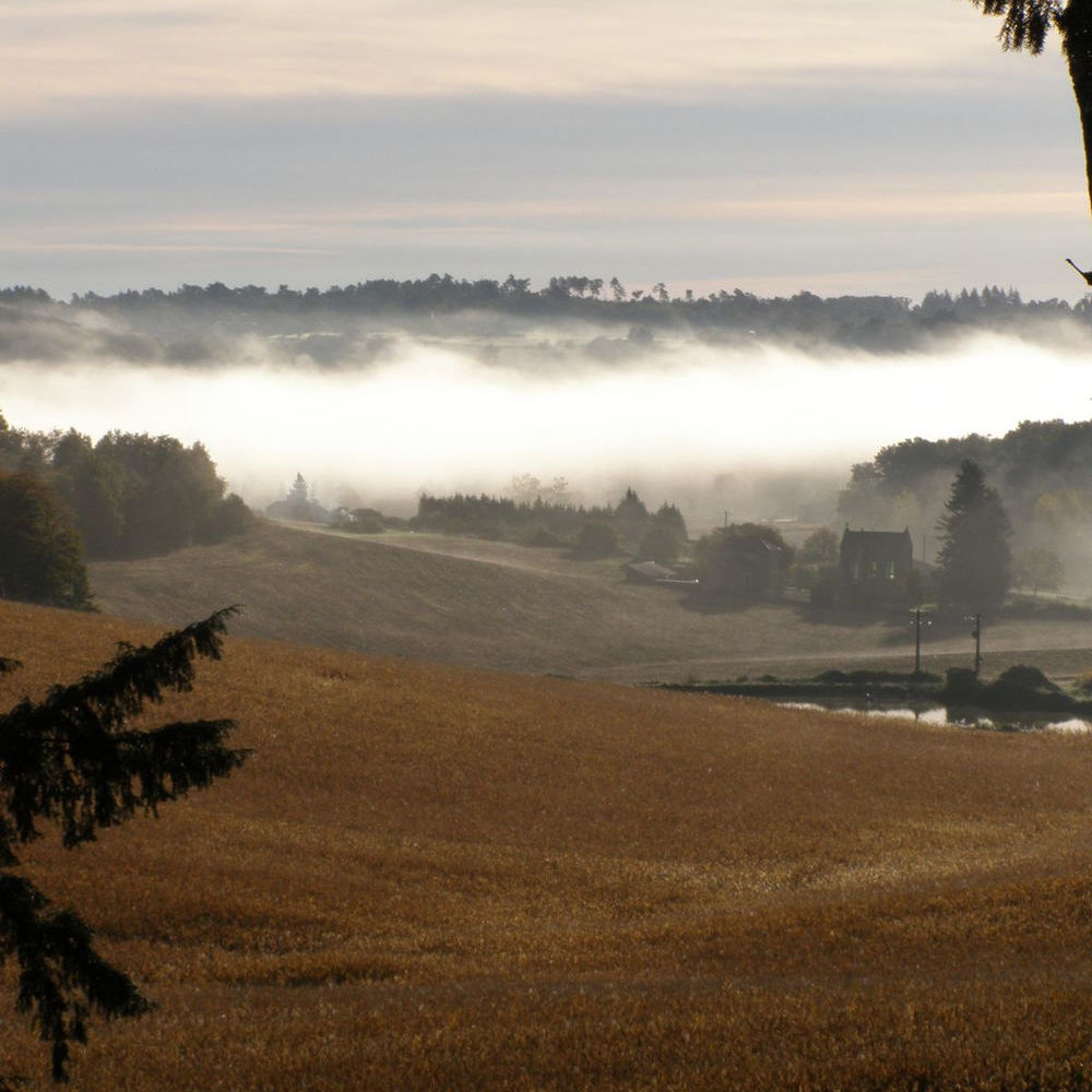 � vendre  Maison Angoul�me (16000)