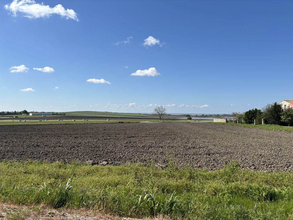 � vendre  Maison Arces (17120)