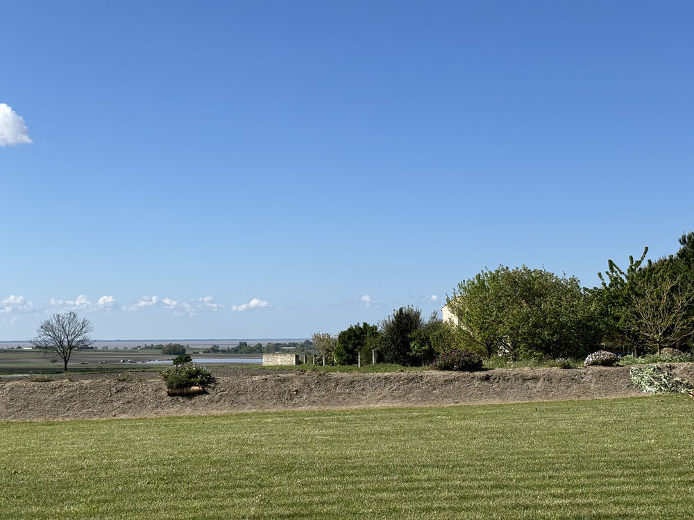 � vendre  Maison Arces (17120)