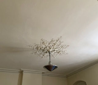  Immeuble � vendre 545 m�