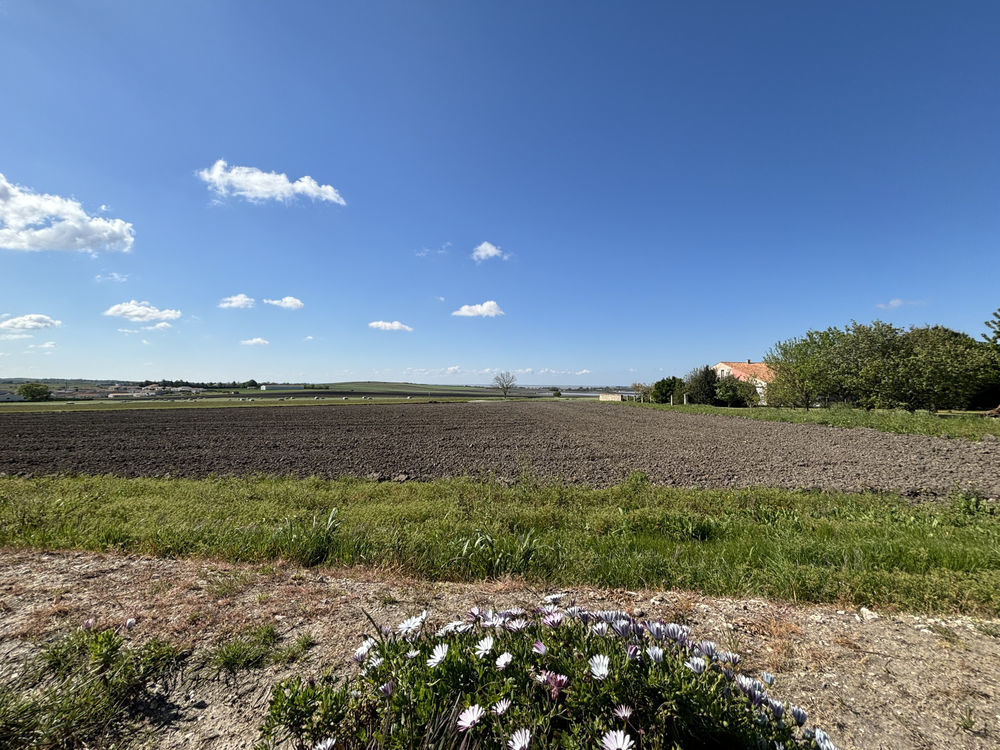 � vendre  Maison Arces (17120)