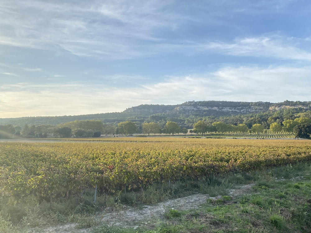 � vendre  Propri�t�/ch�teau Boll�ne (84500)