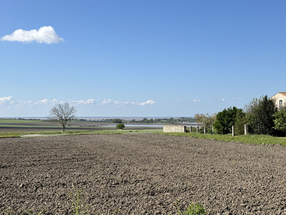 � vendre  Maison Arces (17120)