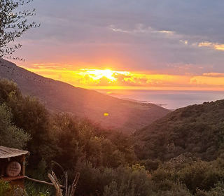  Maison � vendre 6 pi�ces 220 m�