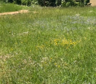  Terrain � vendre 974 m�