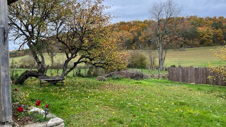  Chalet � vendre 1 pi�ce 25 m�