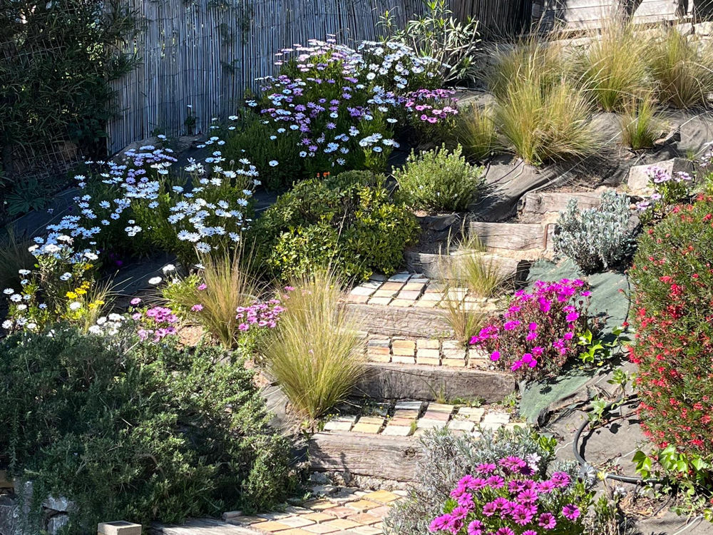 � vendre  Maison Fr�jus (83600)