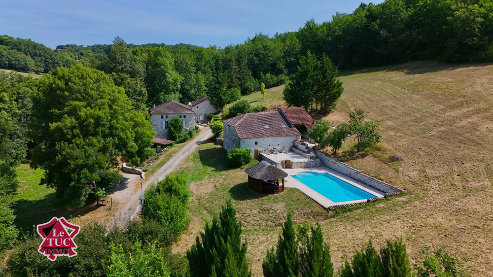 � vendre  Propri�t�/ch�teau Dondas (47470)