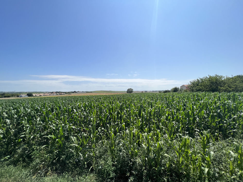 � vendre  Maison Arces (17120)