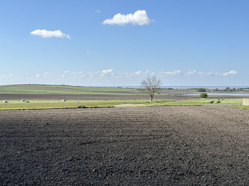 � vendre  Maison Arces (17120)