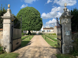  Propri�t�/ch�teau � vendre 15 + pi�ces 525 m�