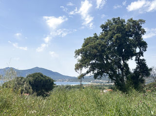  Terrain � vendre 746 m�