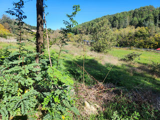  Terrain � vendre 1023 m�