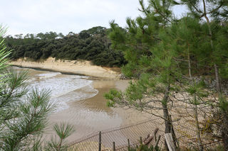  Maison � vendre 3 pi�ces 30 m�