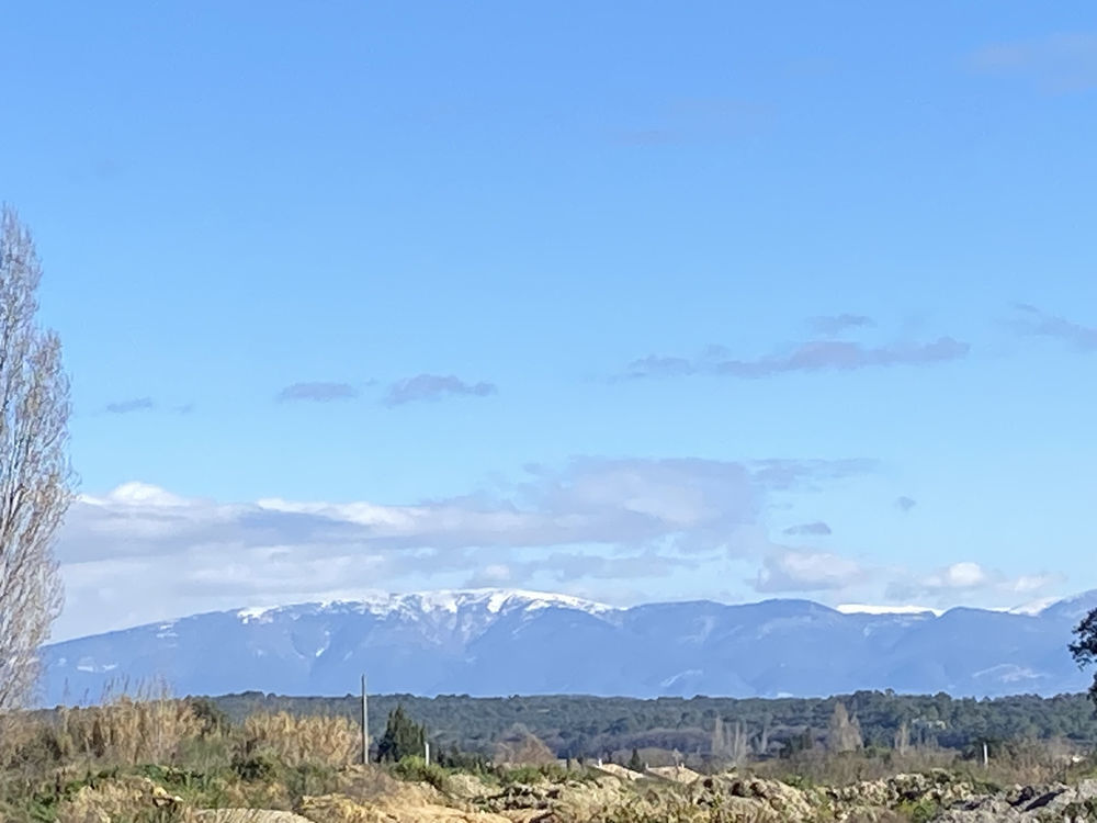 � vendre  Propri�t�/ch�teau Boll�ne (84500)