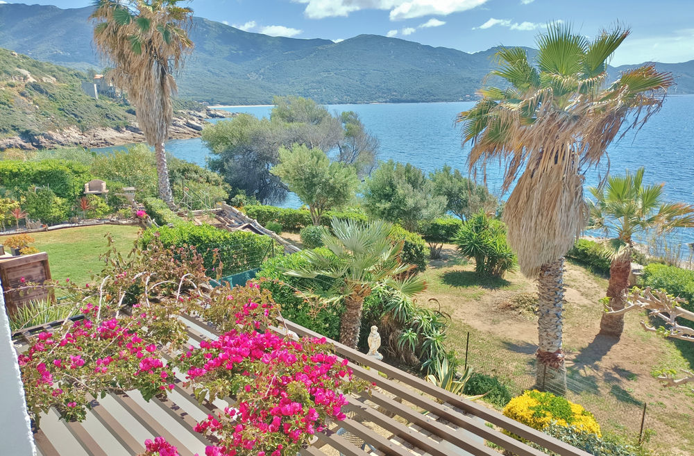 � vendre  Maison Ajaccio (20000)