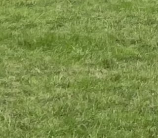  Terrain � vendre 353 m�