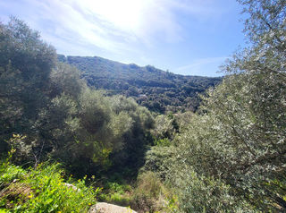  Terrain � vendre 15000 m�