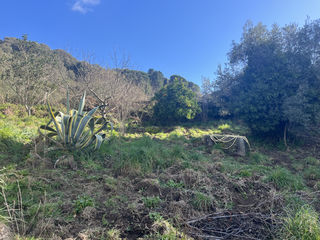  Maison � vendre 3 pi�ces 60 m�