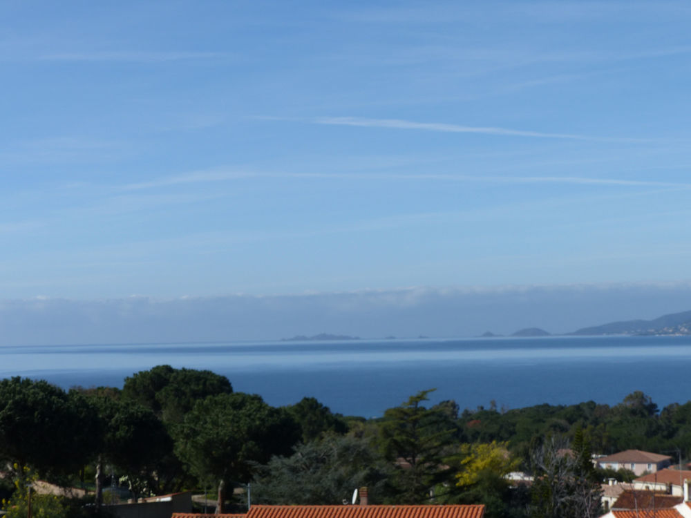 � vendre  Maison Pietrosella (20166)