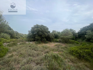  Terrain � vendre 6091 m�