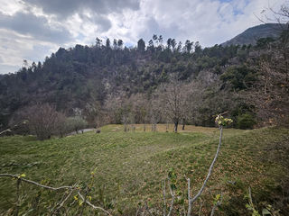  Terrain � vendre 8900 m�