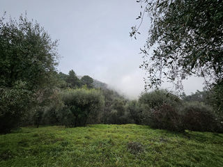  Terrain � vendre 2151 m�