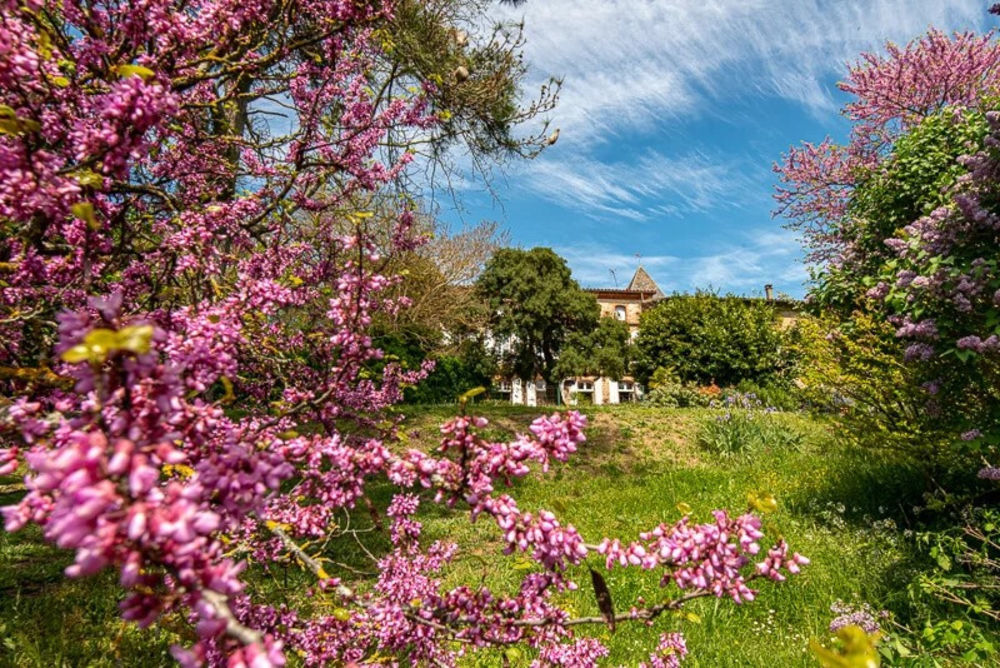 � vendre  Propri�t�/ch�teau Calmont (31560)