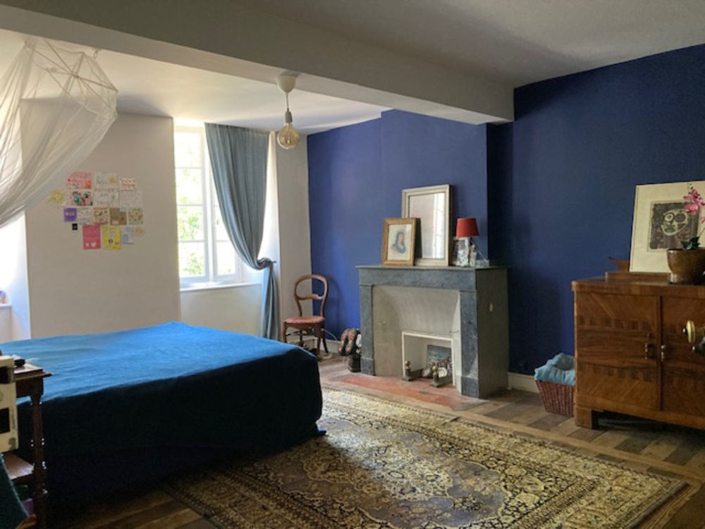 � vendre  Propri�t�/ch�teau Pailh�s (09130)