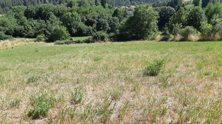  Terrain � vendre 2780 m�