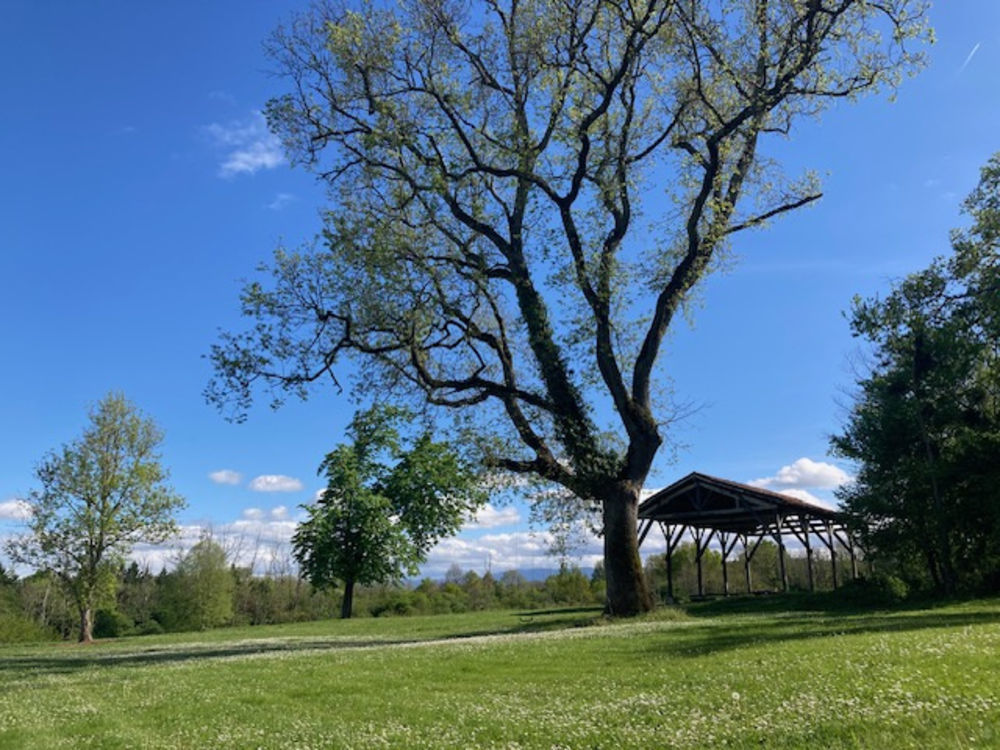 � vendre  Propri�t�/ch�teau Pailh�s (09130)