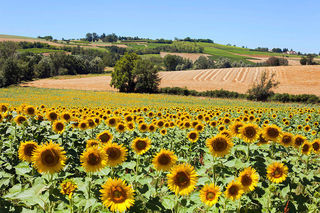  Propri�t�/ch�teau � vendre 10 pi�ces 300 m�