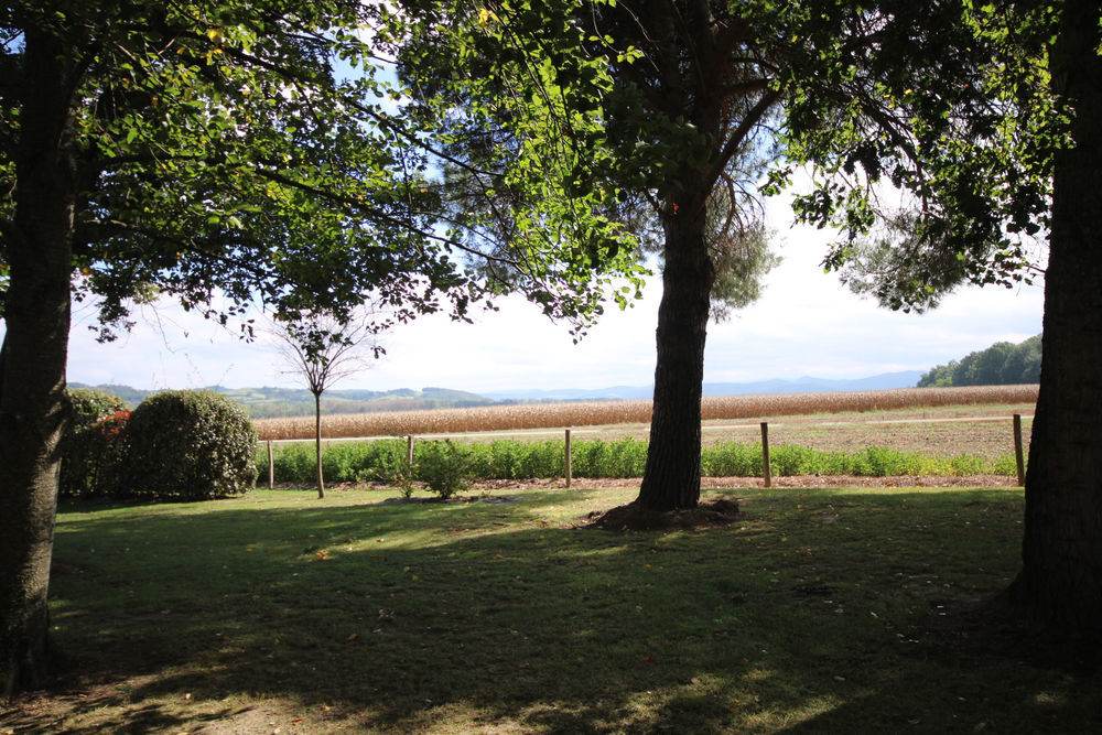 � vendre  Propri�t�/ch�teau Mirepoix (09500)