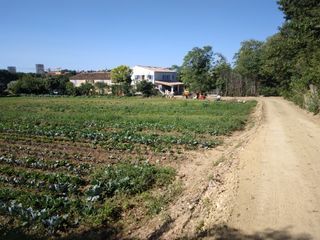  Appartement � louer 2 pi�ces 45 m�