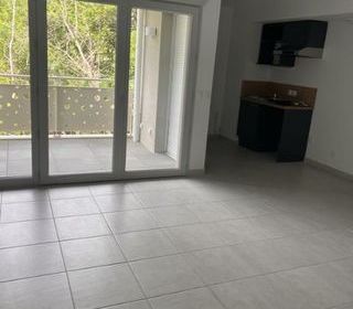  Appartement � louer 2 pi�ces 45 m�