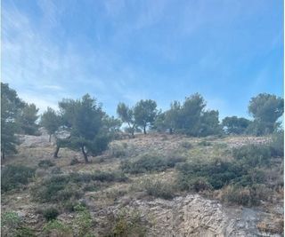  Appartement � louer 1 pi�ce 17 m�