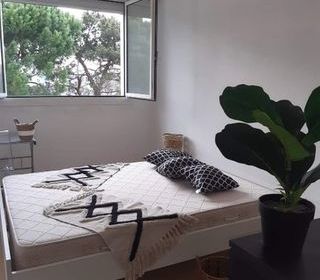  Appartement � louer 3 pi�ces 61 m�