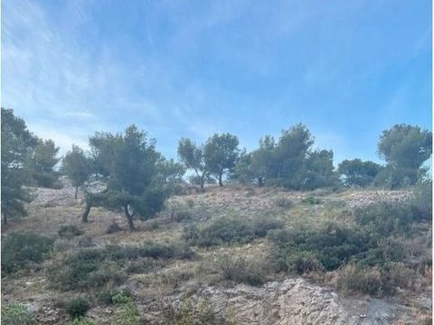   Location Appartement Appartement - 1 pi�ce(s) - 17 m�