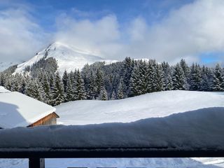  Appartement � vendre 1 pi�ce 20 m�