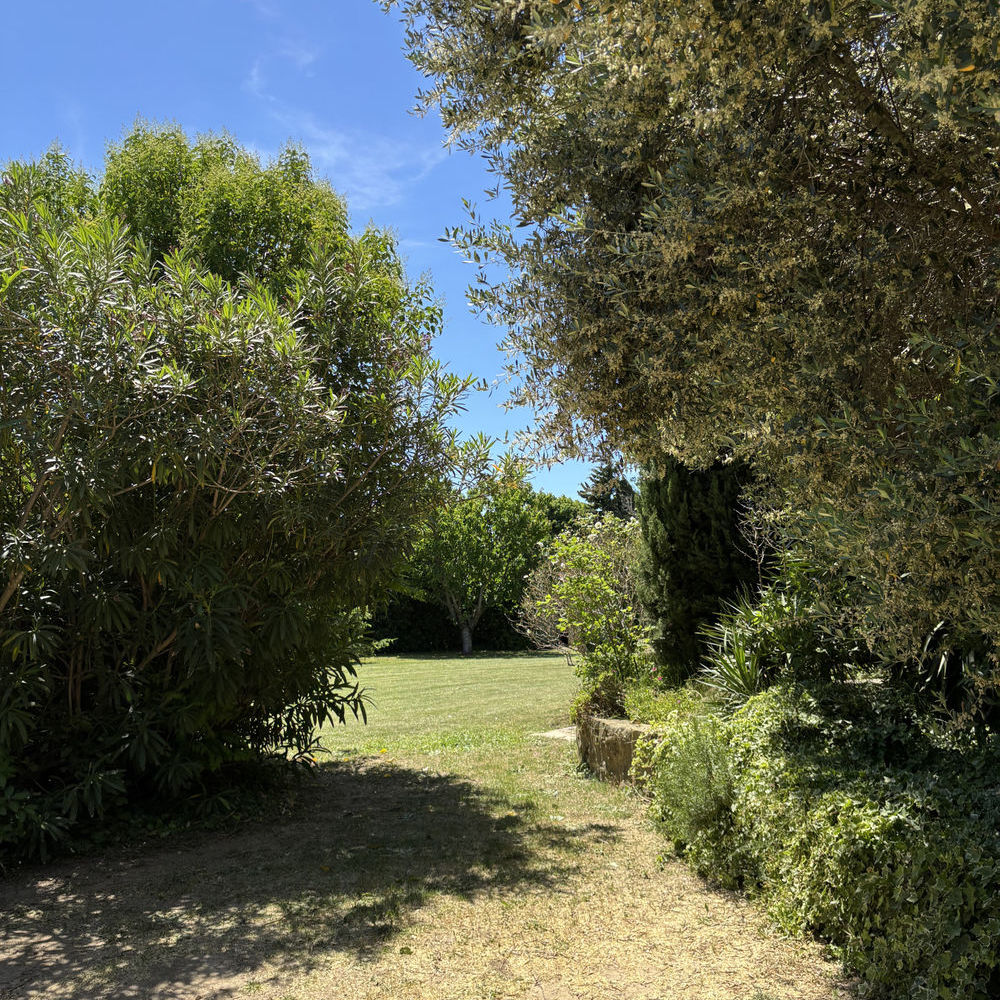 � vendre  Maison Maussane-les-Alpilles (13520)