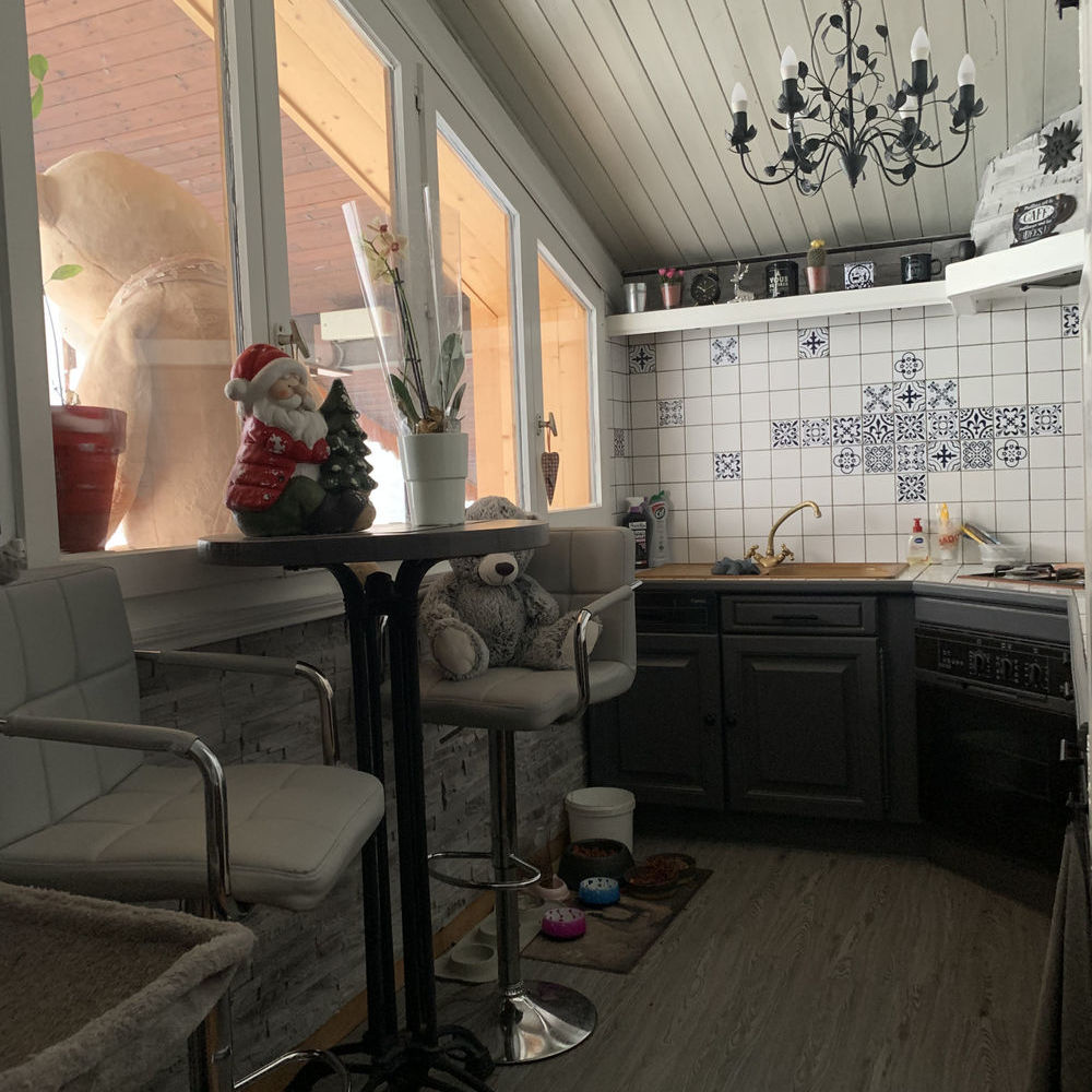 � vendre  Chalet Ch�tel (74390)