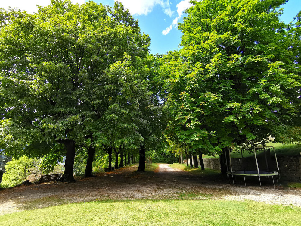 � vendre  Propri�t�/ch�teau Grenoble (38000)